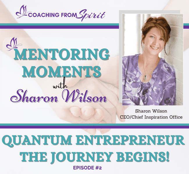Mentoring Moments Episode 2 – The Quantum Entrepreneur Journey begins!